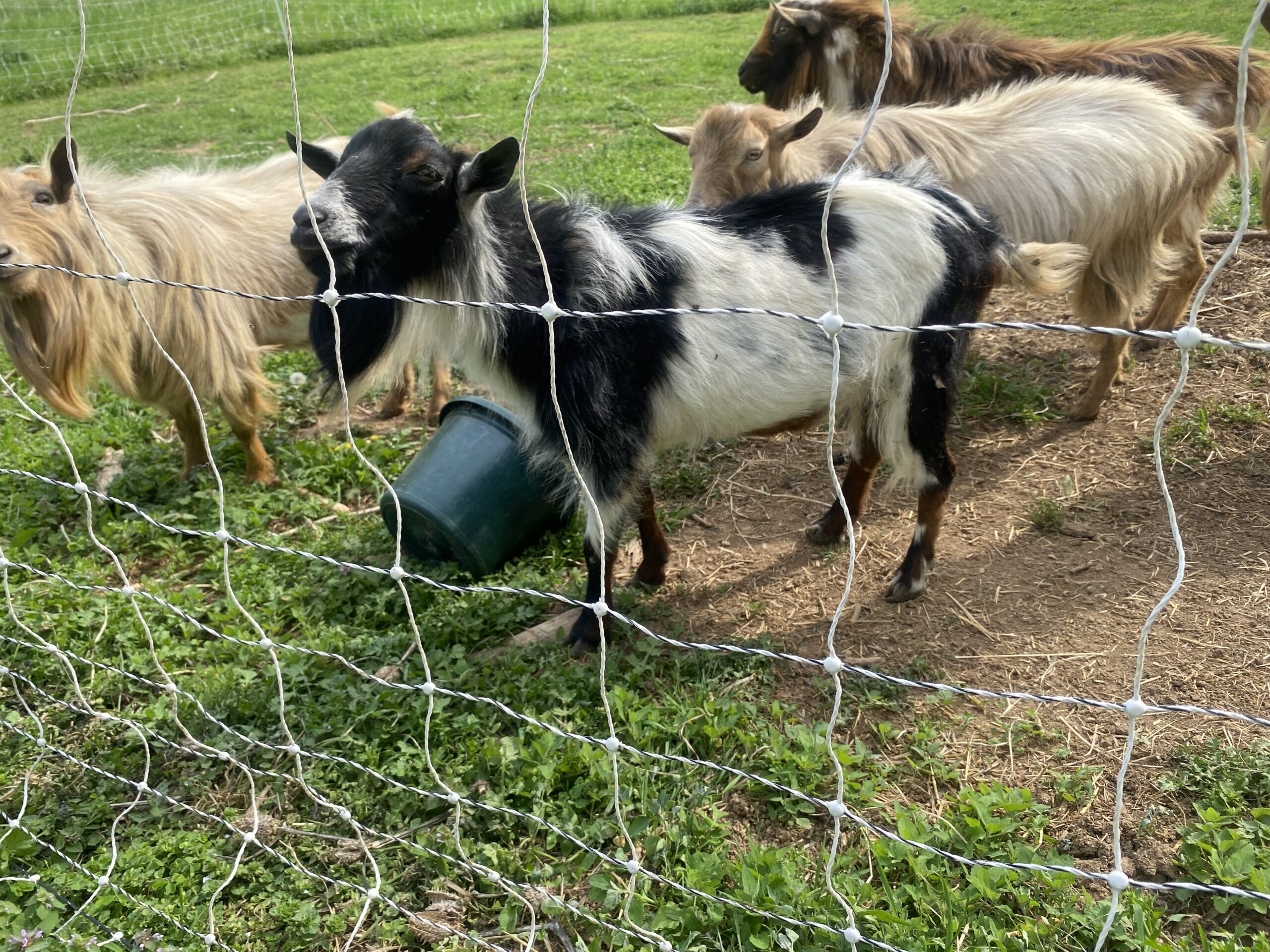 76695912002__37734A28-F44E-49D2-8135-D01D46DEE7D6